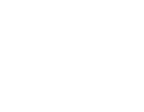 PCI DSS